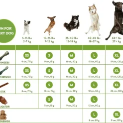 Whimzees Snack Dentale Per Cani 11,7 Centimetri A Forma Di Coccodrillo -Nourriture pour chien Boutique whimzees feeding guidelines CDN E 2018 900x 62881a8c91c4e g