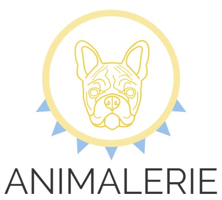 Nourriture pour chien Boutique